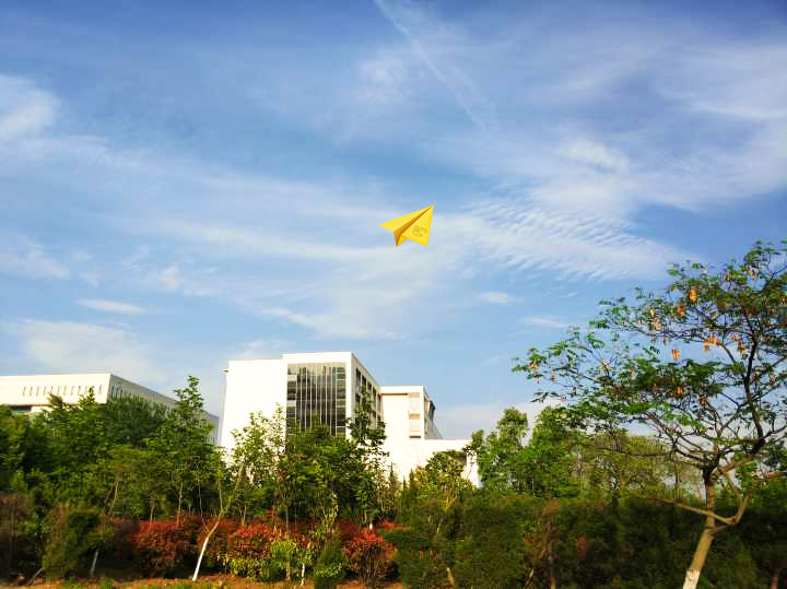 广西野鸡大学名单