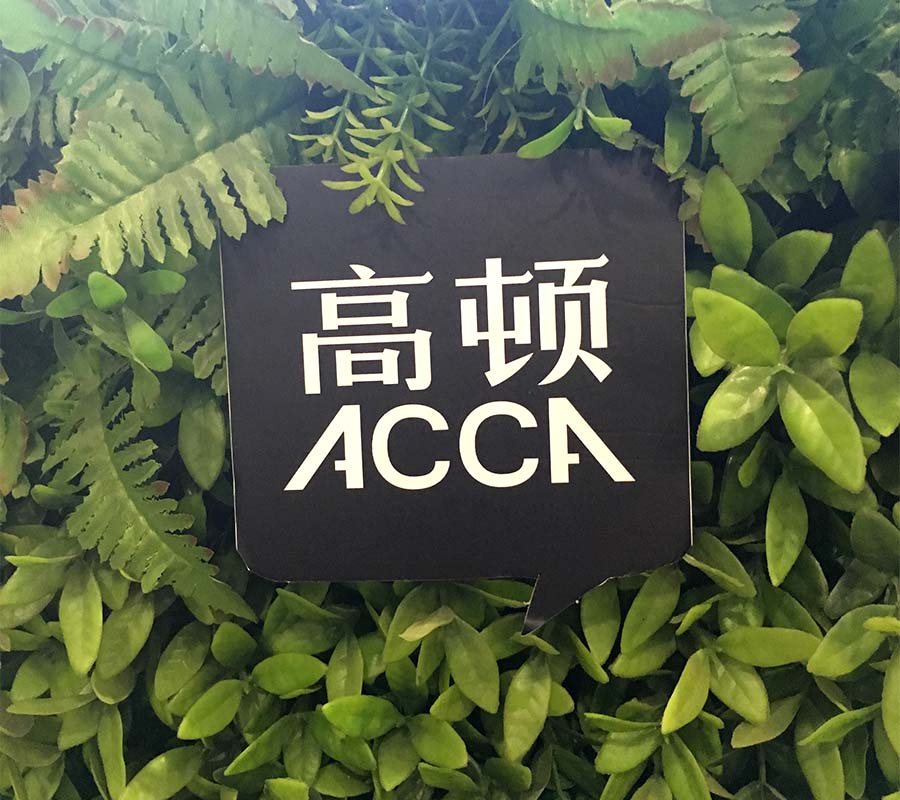 ACCA考试,ACCA